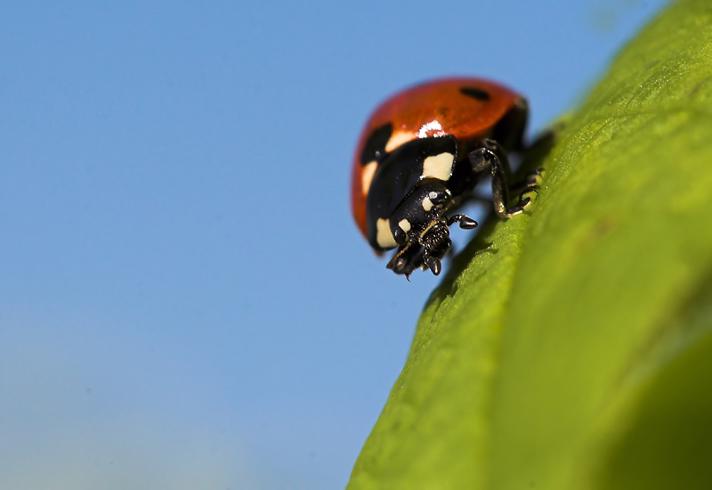 Fotograf: Torben  Hvid