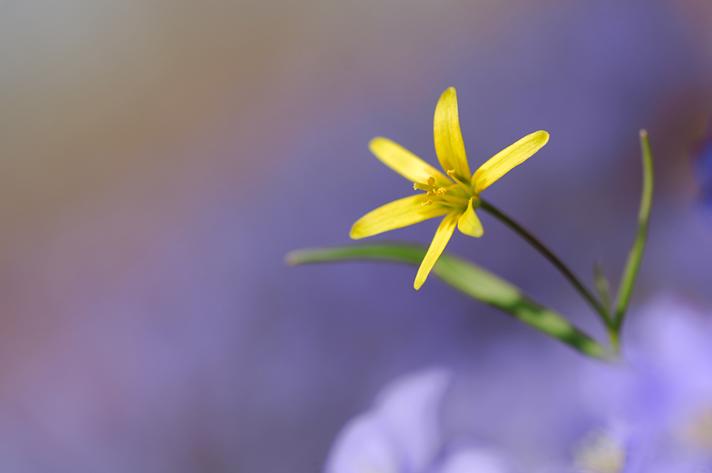 Fotograf: Jimmy Lassen