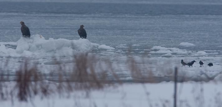 Fotograf: Lars Mejlby