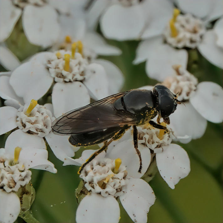 Fotograf: Flemming Jenle