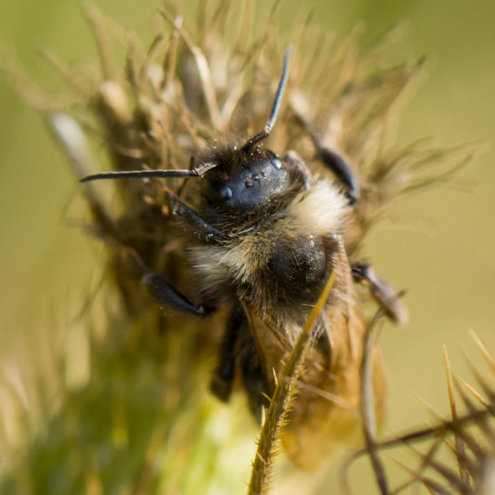 Fotograf: Kim Møller