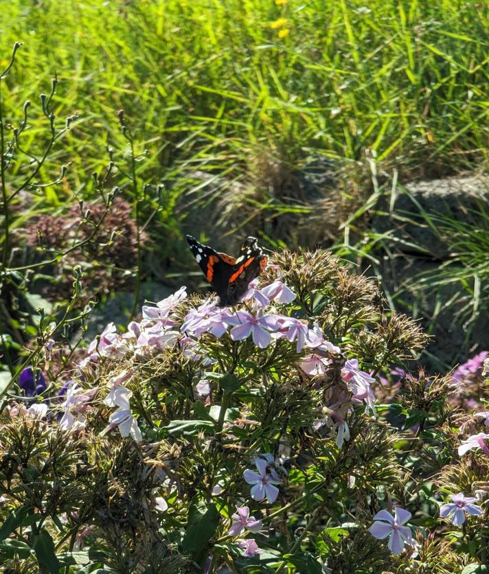 Fotograf: Georg Hellerup