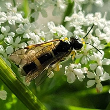 Fotograf: Karen Stevnbak Andersen