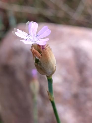 Fotograf: Jeppe Fonnesbo