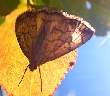 Fotograf: Jørgen Stefansen