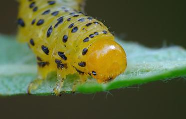 Fotograf: Kjeld Brem