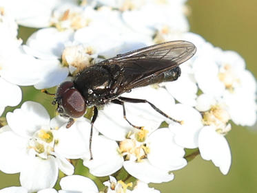 Fotograf: Lars Vilhelm  Hansen