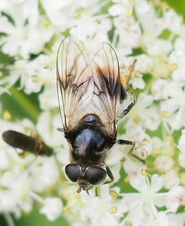 Fotograf: Mogens  Skov Andersen