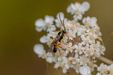 Fotograf: Villy Pedersen