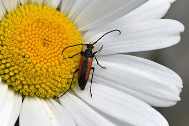 Fotograf: Per Bo Ravnå