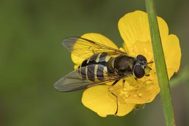 Fotograf: Lars Vilhelm  Hansen