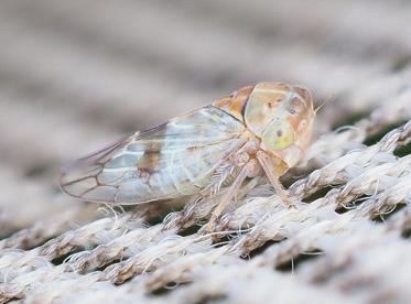 Fotograf: Mogens  Skov Andersen