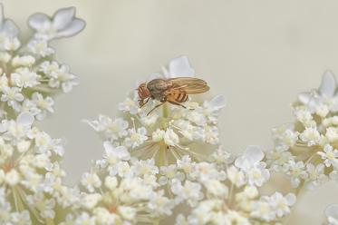 Fotograf: Villy Pedersen