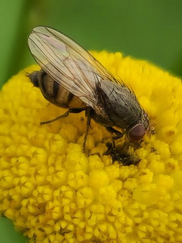 Fotograf: Torben Overgaard