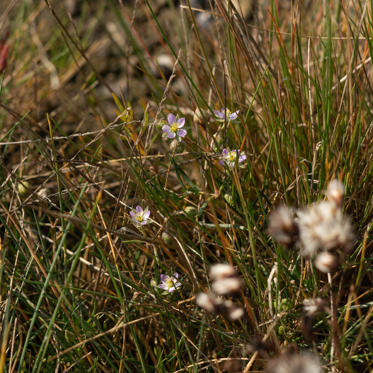 Fotograf: Martin Hansen