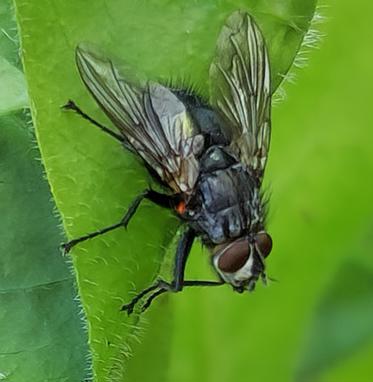 Fotograf: Torben Overgaard