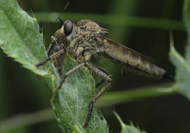 Fotograf: tue baaner