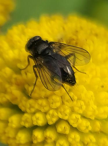 Fotograf: Torben Overgaard