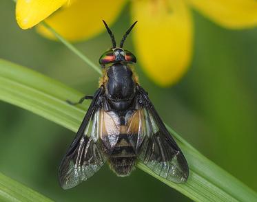 Fotograf: Mogens  Skov Andersen