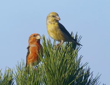 Fotograf: Anne Blotting