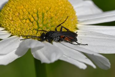 Fotograf: Per Bo Ravnå