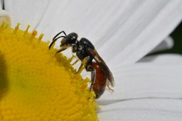 Fotograf: Per Bo Ravnå