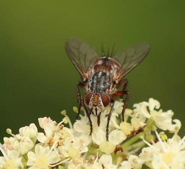 Fotograf: Jørn Lausen