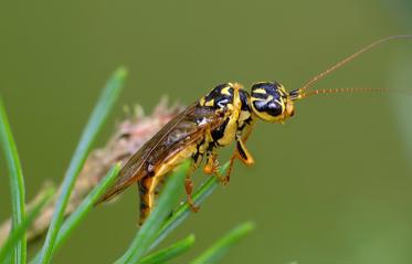 Fotograf: Kjeld Brem