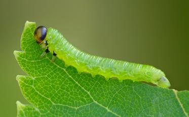 Fotograf: Kjeld Brem