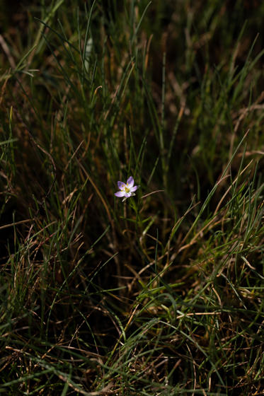 Fotograf: Britta Hvalsø Olsen