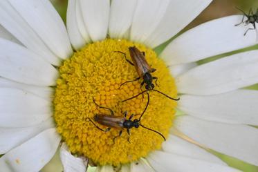 Fotograf: Per Bo Ravnå