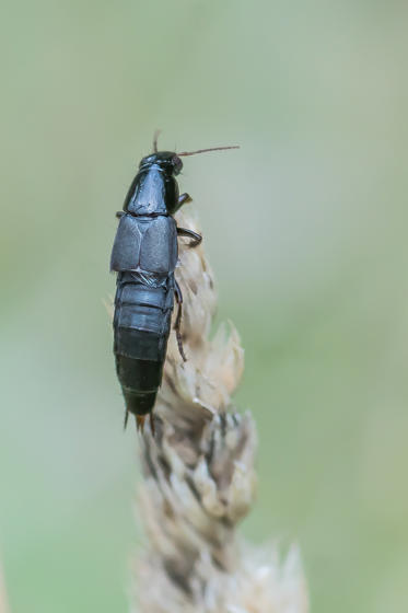 Fotograf: Jens Rasmussen