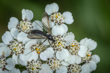 Fotograf: Jan Lyngby