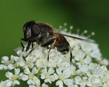 Fotograf: Lars Vilhelm  Hansen