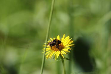 Fotograf: Maria Iversen