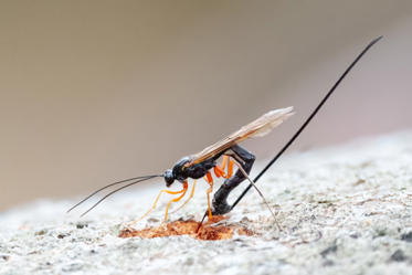 Fotograf: Lars Terkelsen