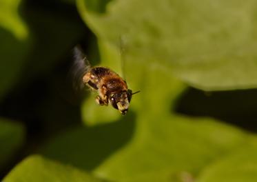 Fotograf: Frank Overgaard Nielsen