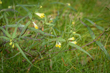 Fotograf: Jan Lyngby