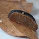Sortsidesnegl (Arion distinctus)