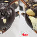 Perlemaskebi (Hylaeus dilatatus)