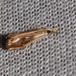 Catoptria verellus (Catoptria verellus)