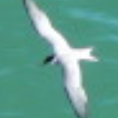 Frank Overgaard Nielsen