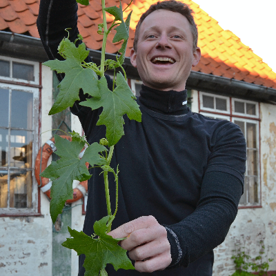 Tino Hjorth Bjerregaard