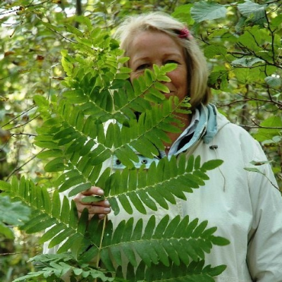 Anne Messmann